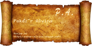 Pekár Alvina névjegykártya